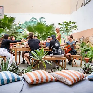 https://jungle-house.in-canary-islands.com